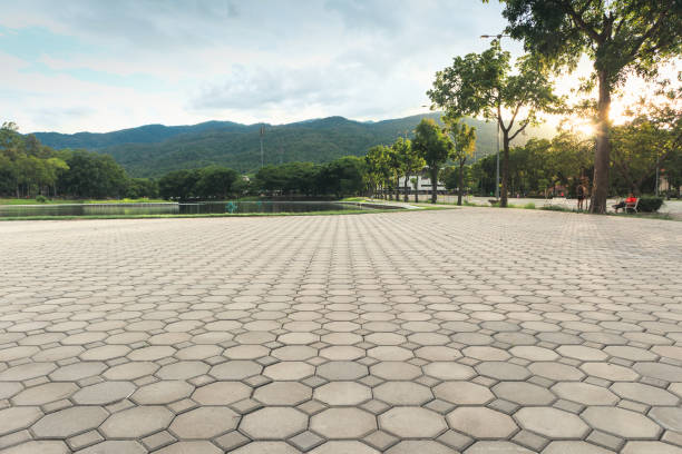 Best Residential Paver Driveway  in Winchester, NV