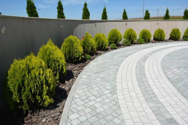 Best Brick Driveway Pavers  in Winchester, NV